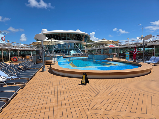 An empty pool deck is a Rooster's paradise